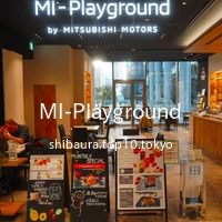 MI-Playground